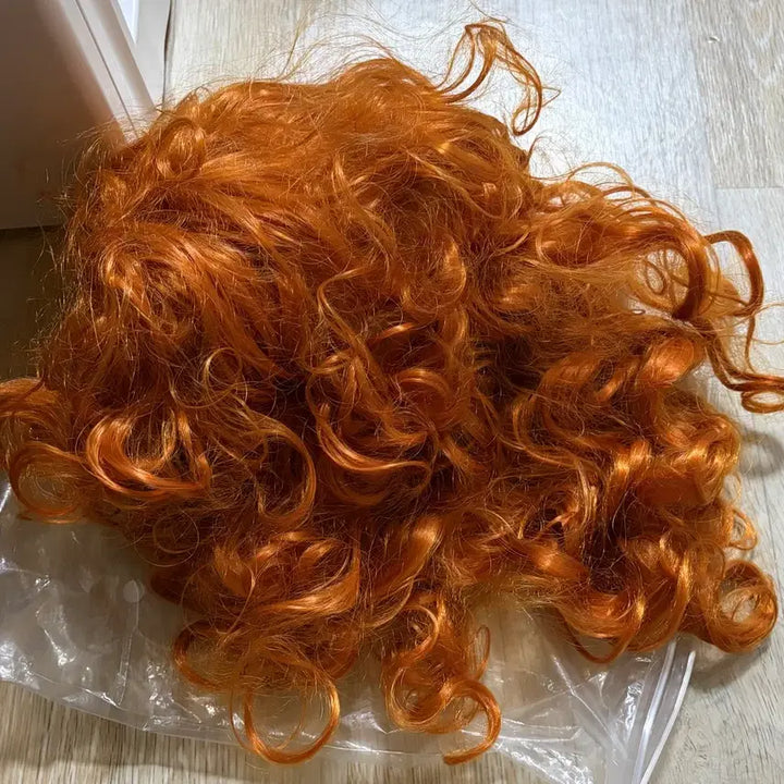 [BUNJANG] Disney Merida Forest Costume Set / 디즈니 메리다의 마법의 숲 코스프레