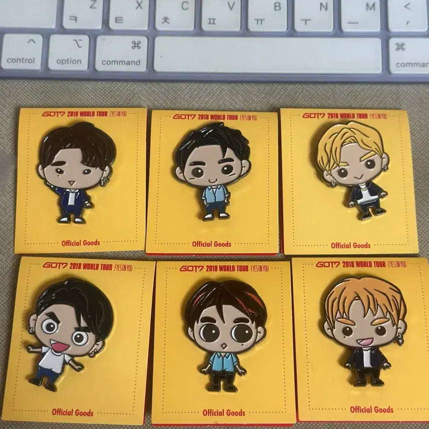 [BUNJANG] GOT7 Pin Badge Set / GOT7 공식 핀뱃지 일괄 6종