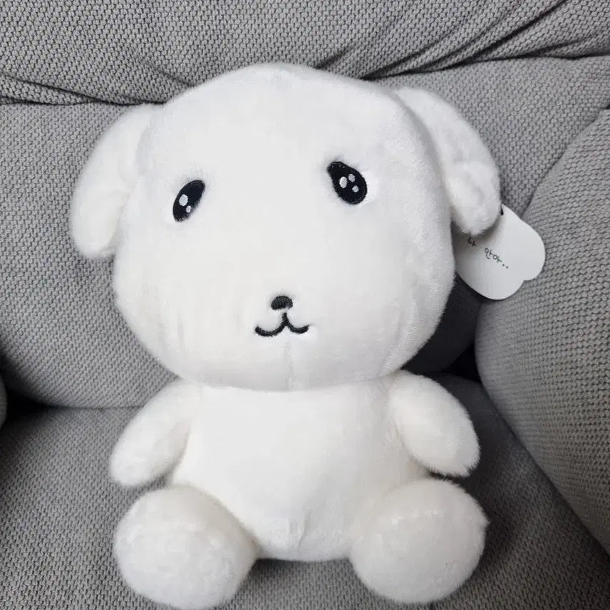 [BUNJANG] Gana-D Soft Plush Doll / 가나디 중형인형 부드러운 가나디
