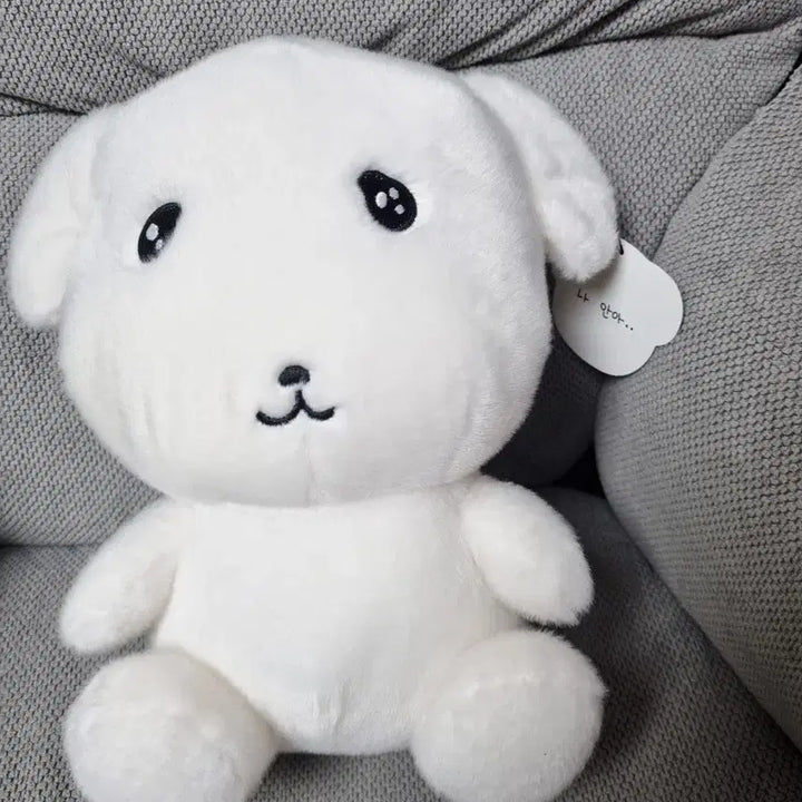 [BUNJANG] Gana-D Soft Plush Doll / 가나디 중형인형 부드러운 가나디