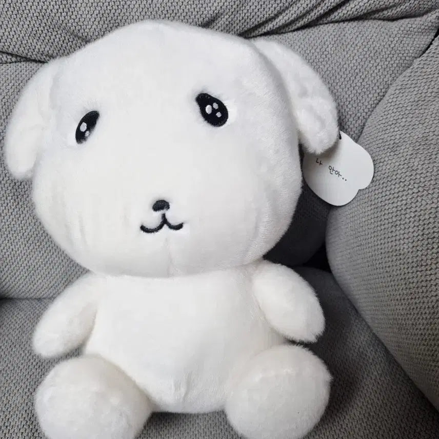 [BUNJANG] Gana-D Soft Plush Doll / 가나디 중형인형 부드러운 가나디