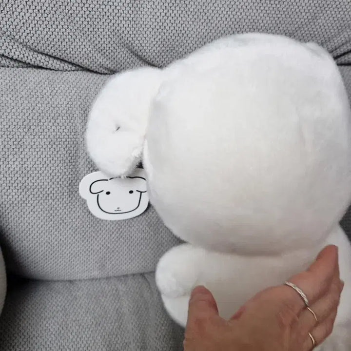 [BUNJANG] Gana-D Soft Plush Doll / 가나디 중형인형 부드러운 가나디