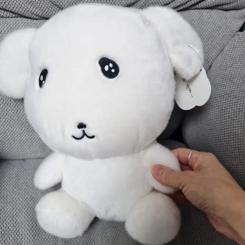 [BUNJANG] Gana-D Soft Plush Doll / 가나디 중형인형 부드러운 가나디