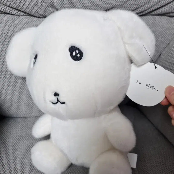 [BUNJANG] Gana-D Soft Plush Doll / 가나디 중형인형 부드러운 가나디