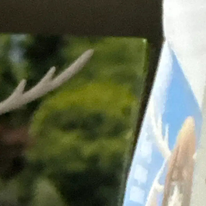 [BUNJANG] Shikano no Kojika Figure / 시카노코 사슴아이 피규어 미소녀