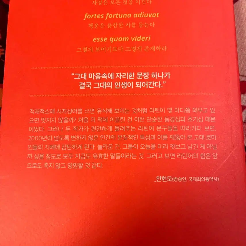 [BUNJANG] A Latin Sentence for You: Self-Improvement Book / 당신에게 라틴어 문장 하나쯤 있으면 좋겠습니다 교양/인문 자기계발 책