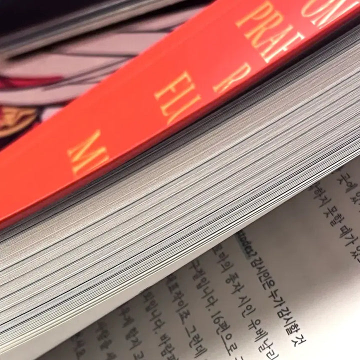 [BUNJANG] A Latin Sentence for You: Self-Improvement Book / 당신에게 라틴어 문장 하나쯤 있으면 좋겠습니다 교양/인문 자기계발 책