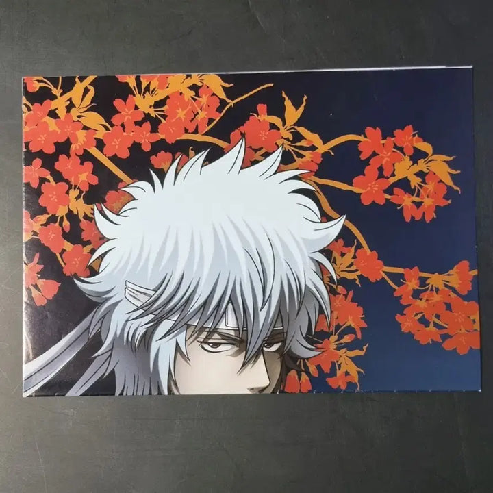 [BUNJANG] Gintama Shin&