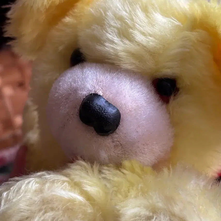 [BUNJANG] Vintage Dog Music Box Antique Toy / 쇼와레트로 빈티지 강아지 오르골인형 엄마아기 강아지 앤틱고전소품토이모리걸