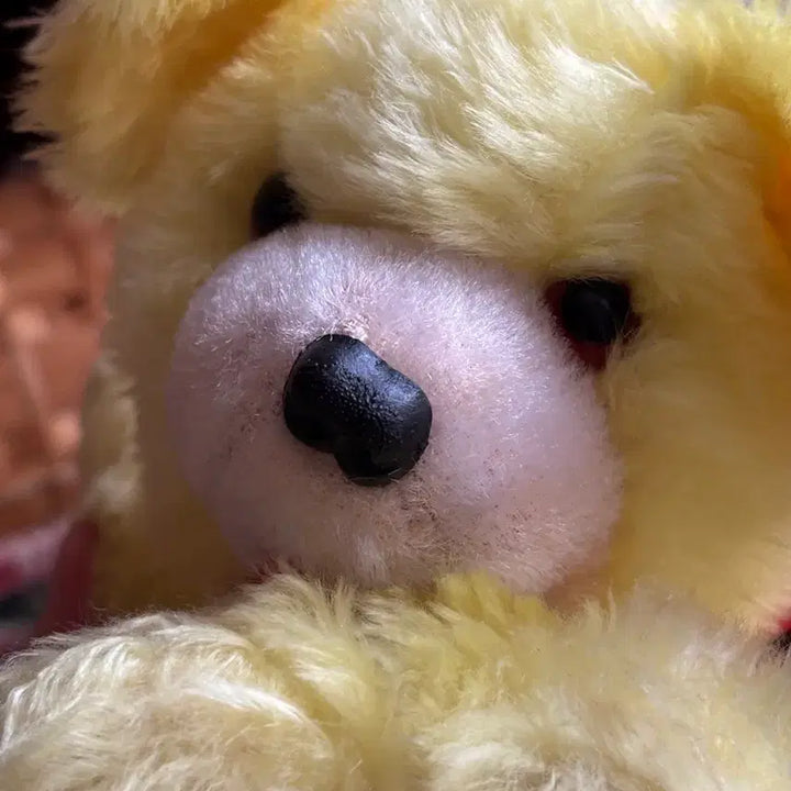 [BUNJANG] Vintage Dog Music Box Antique Toy / 쇼와레트로 빈티지 강아지 오르골인형 엄마아기 강아지 앤틱고전소품토이모리걸