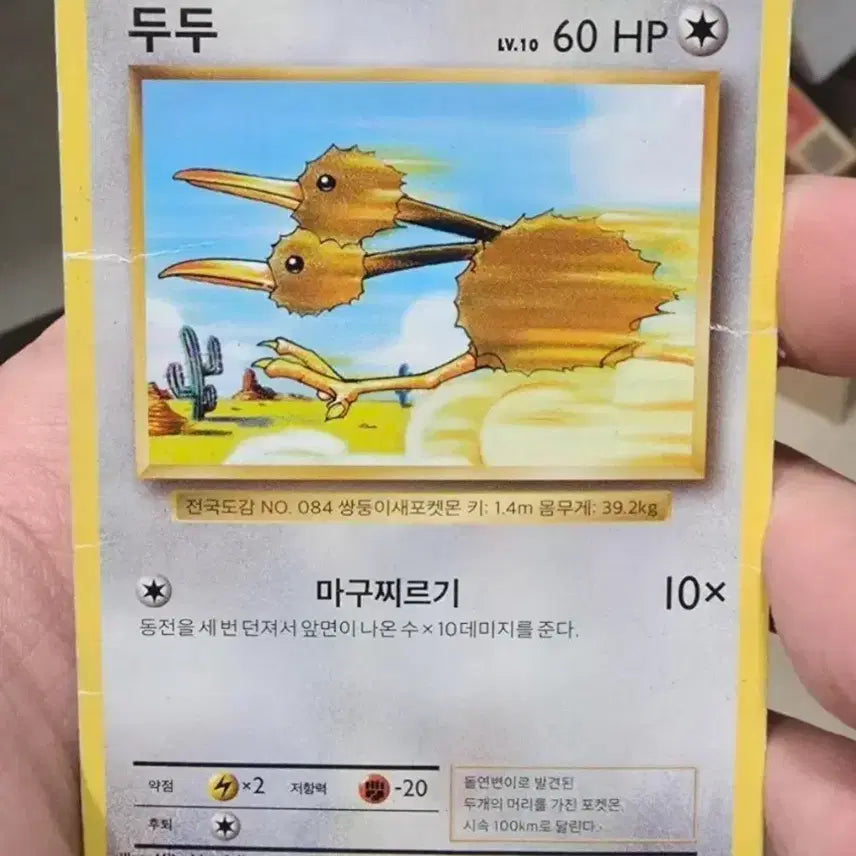 [SOLD OUT] 포켓몬카드 고대 두두 cp6