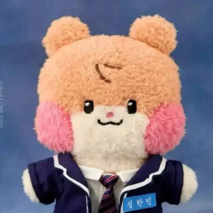 [BUNJANG] Costume Beanie / 코스튬 비니니 판매