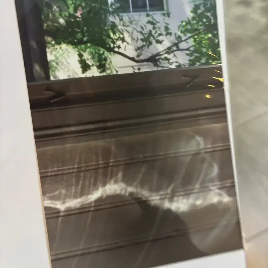 [BUNJANG] Sentimental Value 2nd Week Poster + Postcard Set (A3) / 2개남음 센티멘탈 밸류 2주차 집 포스터 + 엽서세트 (A3)