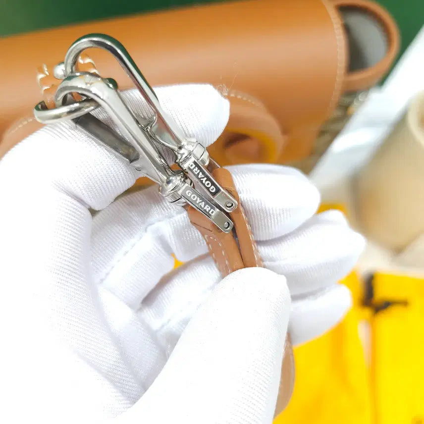 [BUNJANG] Goyard Alpin Mini Backpack / [정품] 고야드 알팡 알핀 미니 백팩