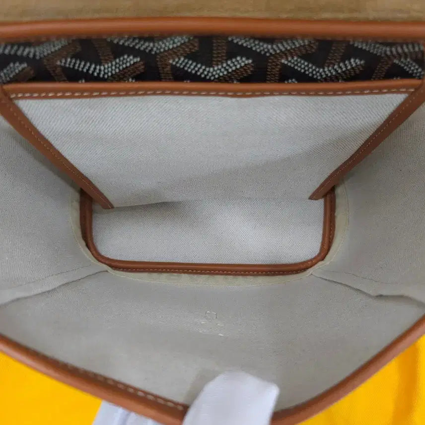 [BUNJANG] Goyard Alpin Mini Backpack / [정품] 고야드 알팡 알핀 미니 백팩