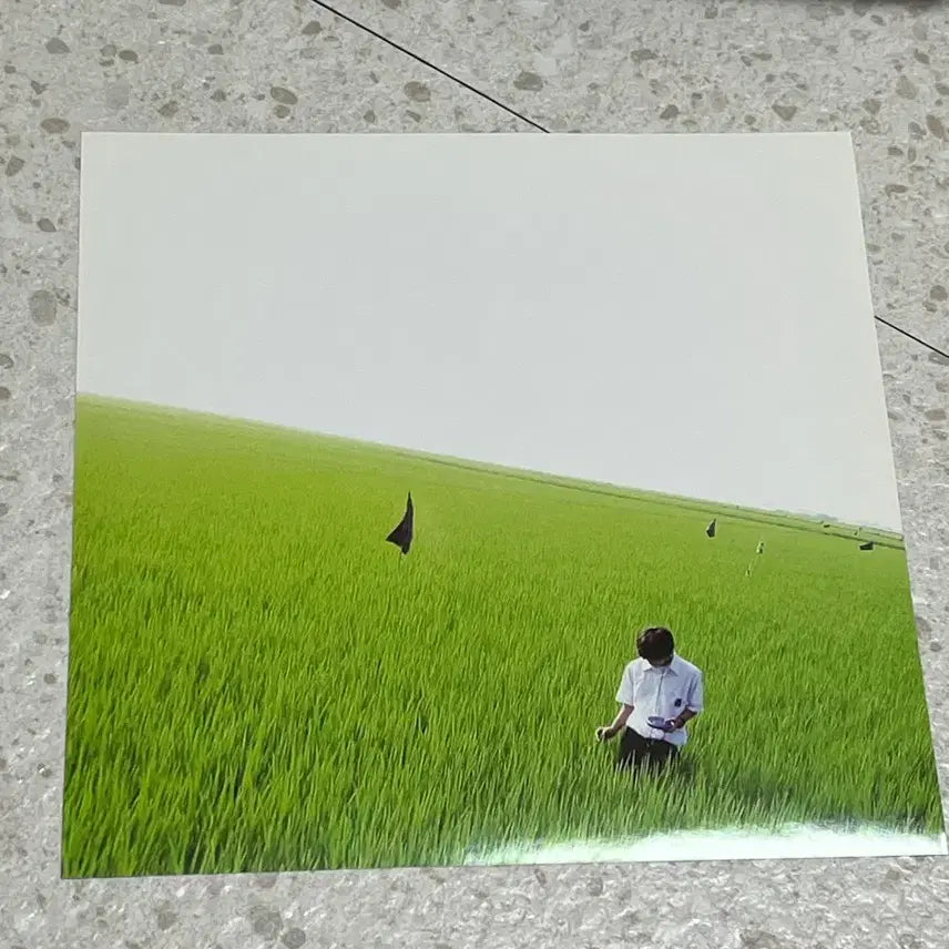 [BUNJANG] Lily Chou-Chou Press Sheet / 릴리 슈슈의 모든것 프레스시트 / 릴리 슈슈의 모든 것 이와이 슌지