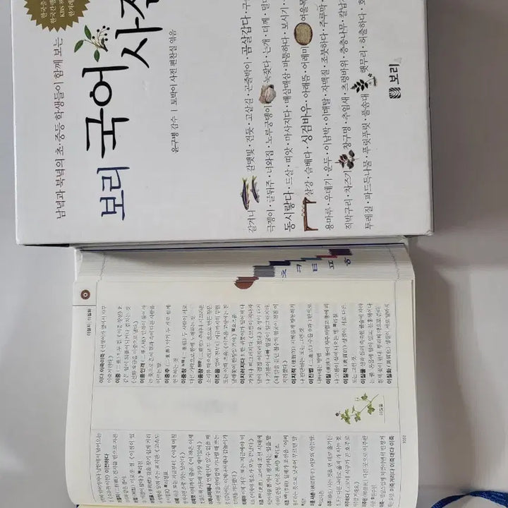 [BUNJANG] Bori Korean Dictionary (One Book) / 보리국어사전