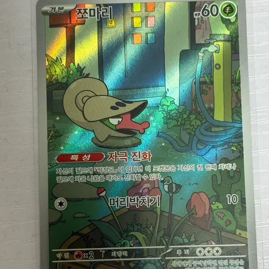[BUNJANG] Pokemon Card Jjomari AR (Blacephalon, Flechling) / [귀여운 포켓몬카드] 쪼마리 AR (블볼화플)