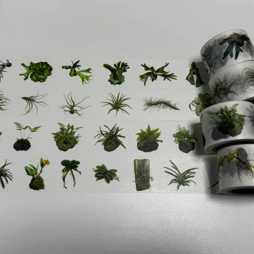 [BUNJANG] ZAGONE Washi Tape Set / 자그네 마테 4종 소분띵