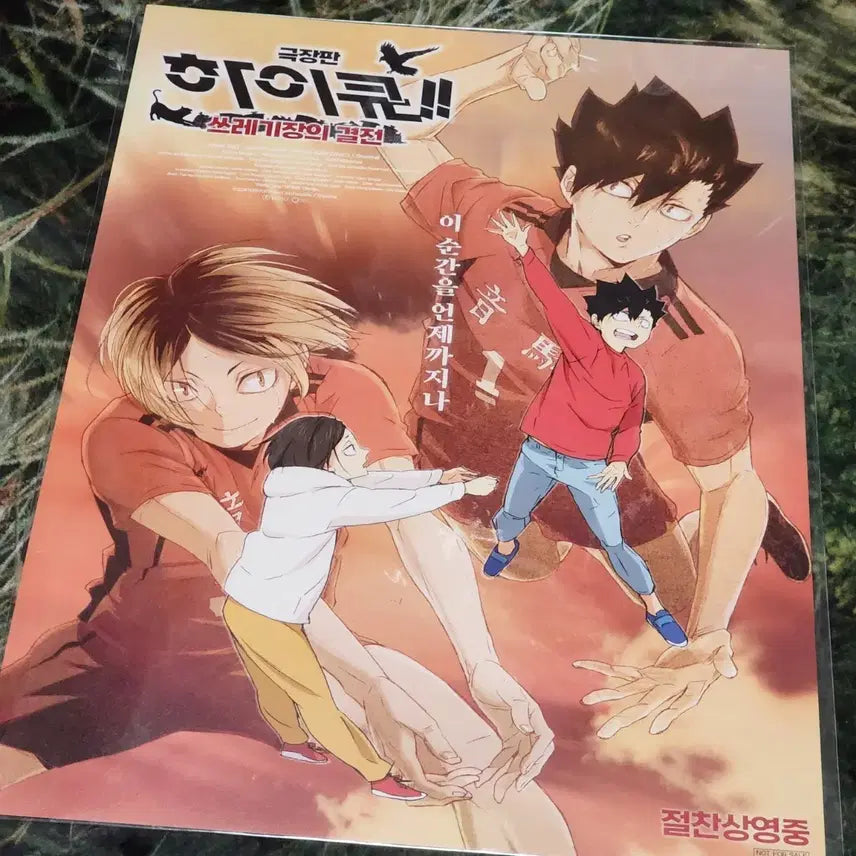 [SOLD OUT] 하이큐!! 쓰레기장의 결전 포스터 덤)히나타 누이
