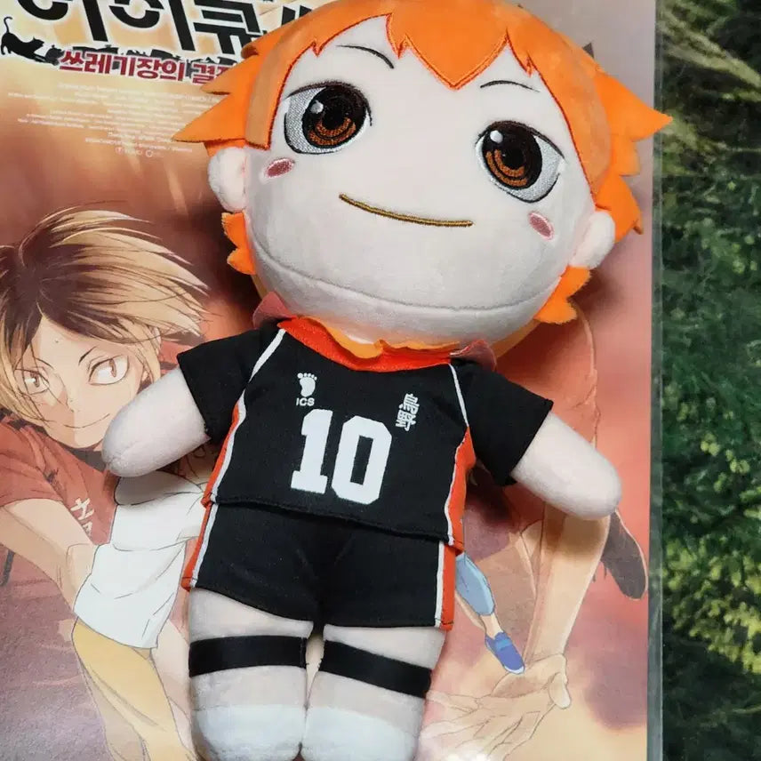 [SOLD OUT] 하이큐!! 쓰레기장의 결전 포스터 덤)히나타 누이