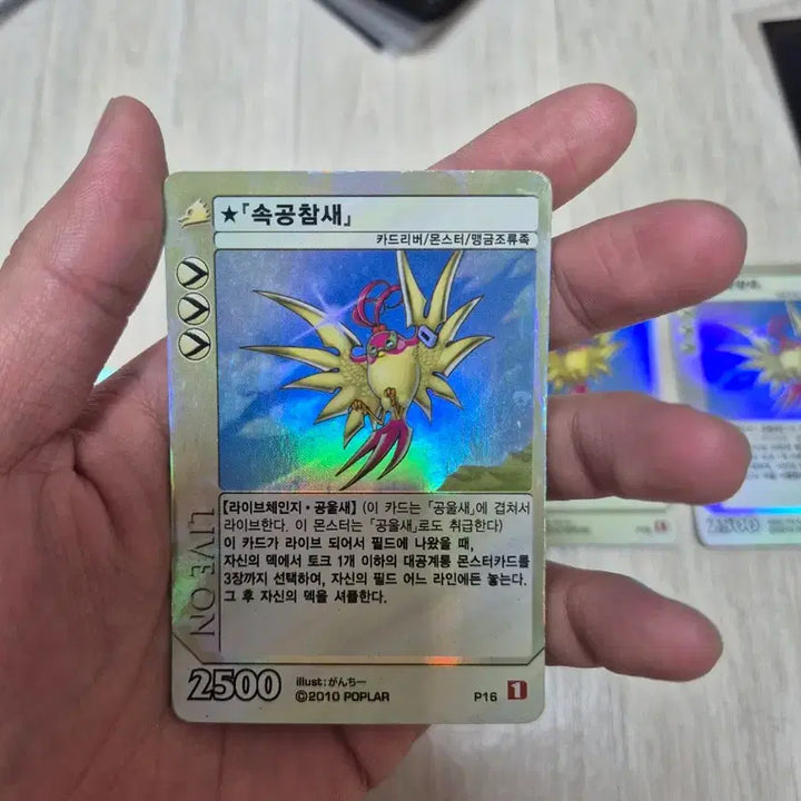 [SOLD OUT] 라이브온 카드리버 울새덱