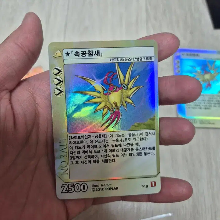 [SOLD OUT] 라이브온 카드리버 울새덱