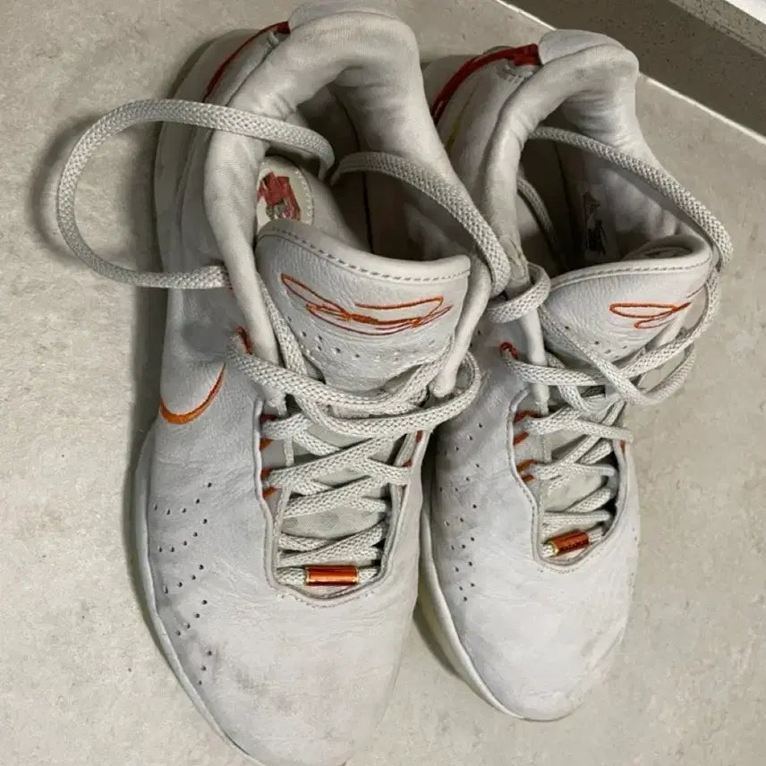 [BUNJANG] Nike LeBron 21 Basketball Shoes / 나이키 농구화  르브론21 275