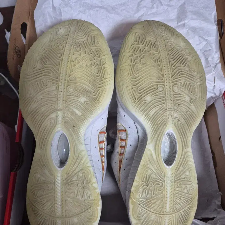 [BUNJANG] Nike LeBron 21 Basketball Shoes / 나이키 농구화  르브론21 275