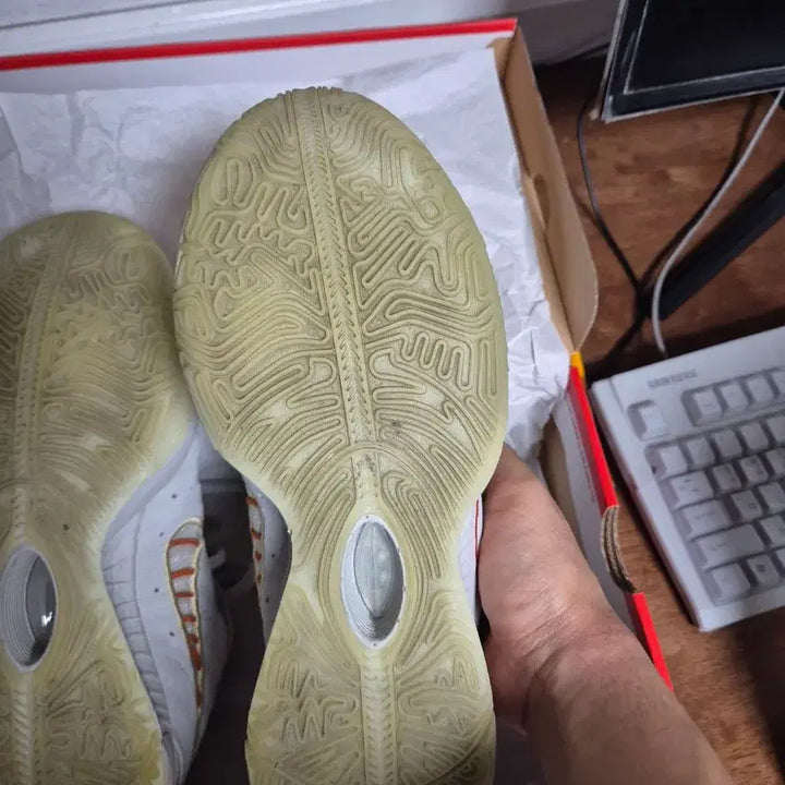 [BUNJANG] Nike LeBron 21 Basketball Shoes / 나이키 농구화  르브론21 275