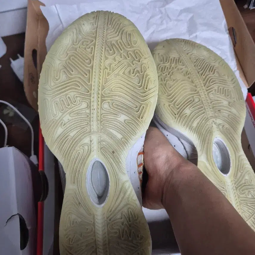 [BUNJANG] Nike LeBron 21 Basketball Shoes / 나이키 농구화  르브론21 275