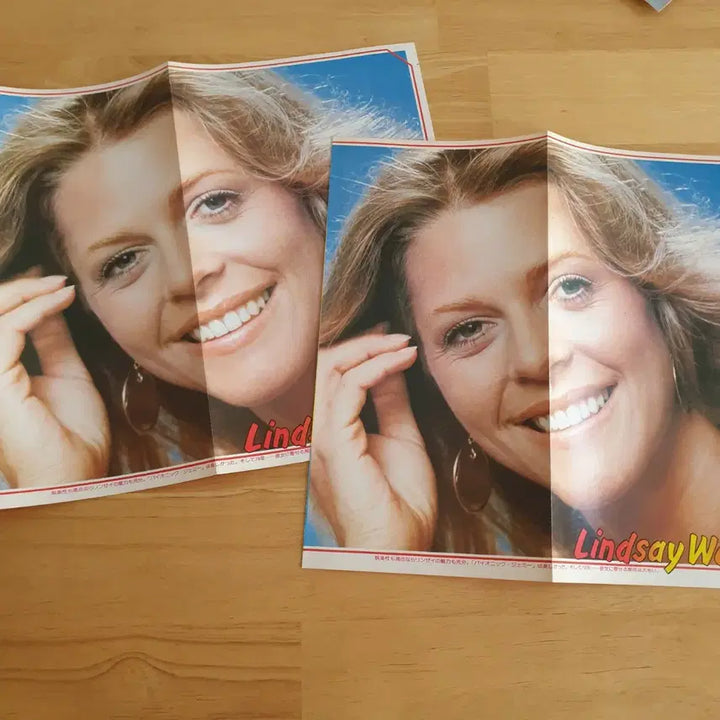 [BUNJANG] Lindsay Wagner Vintage Poster / 린지 와그너 빈티지포스터 일본포스터 소머즈