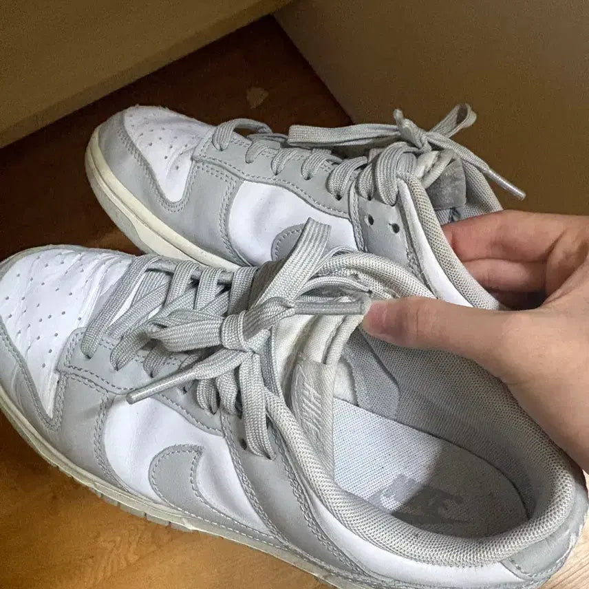 [BUNJANG] Nike Dunk Low Gray 260 / 나이키 덩크 로우 회색 260