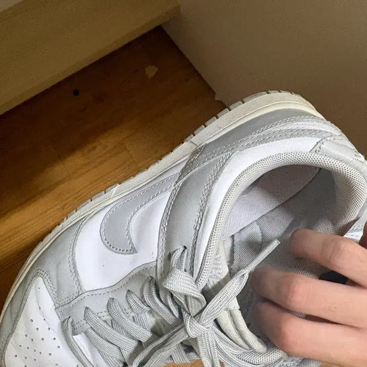 [BUNJANG] Nike Dunk Low Gray 260 / 나이키 덩크 로우 회색 260