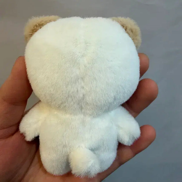 [BUNJANG] Day6 Don Plush Doll / 데이식스 쁘멀 플러시 10cm 돈 도운 (배송비 포함)