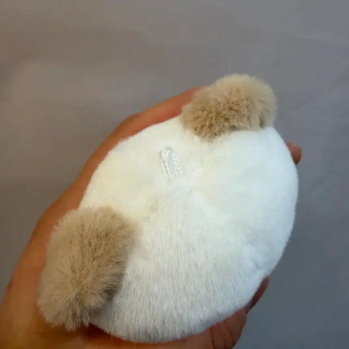 [BUNJANG] Day6 Don Plush Doll / 데이식스 쁘멀 플러시 10cm 돈 도운 (배송비 포함)