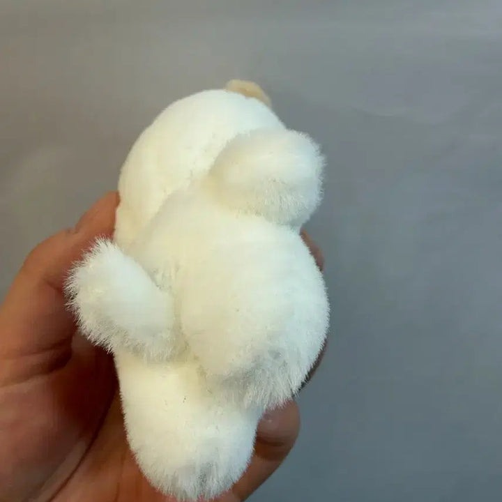 [BUNJANG] Day6 Don Plush Doll / 데이식스 쁘멀 플러시 10cm 돈 도운 (배송비 포함)