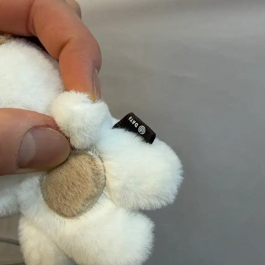 [BUNJANG] Day6 Don Plush Doll / 데이식스 쁘멀 플러시 10cm 돈 도운 (배송비 포함)