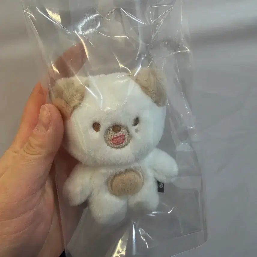 [BUNJANG] Day6 Don Plush Doll / 데이식스 쁘멀 플러시 10cm 돈 도운 (배송비 포함)