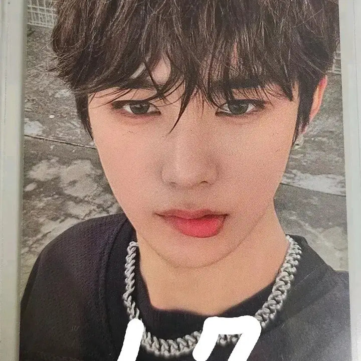 [BUNJANG] Alp 드라이브원 안신 프릭알람 Version Photocard / 알파드라이브원 알디원 안신 프릭알람 버전 깨물 안신