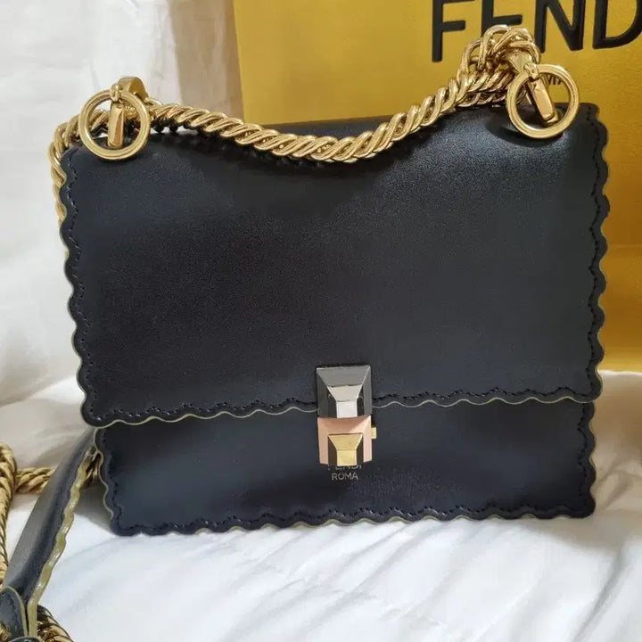 [BUNJANG] Fendi Kan I Wave Bag / 펜디 칸아이웨이브(정품)