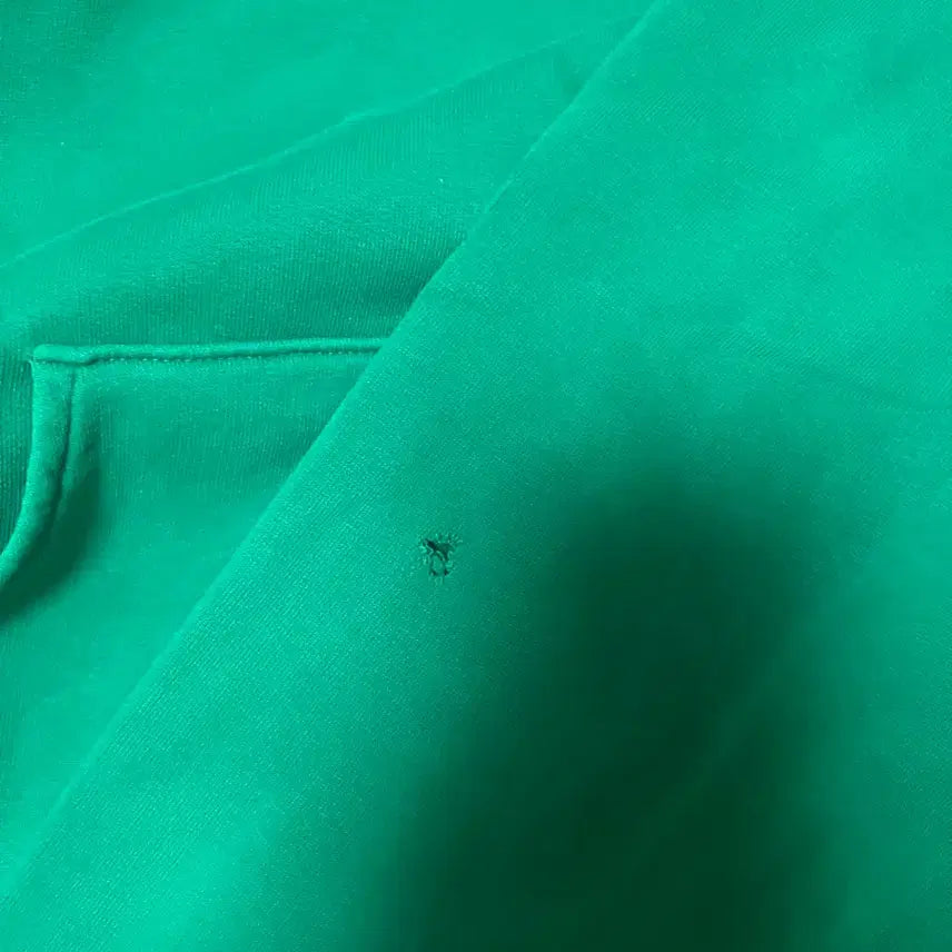 [BUNJANG] LE SSERAFIM Daisy Green Hoodie / (L)ERL 데이지 그린 후드