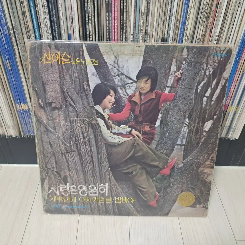 [BUNJANG] San Isul Early Pressing Vinyl Record / LP..산이슬 초반(1976년)