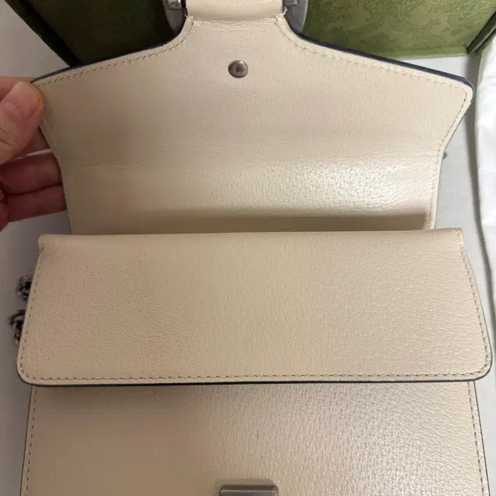 [BUNJANG] Gucci Dionysus Mini Chain Crossbody Bag / 구찌 디오니소스 미니 체인