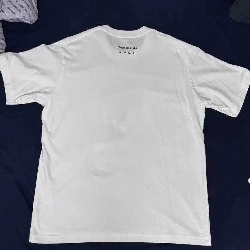 [BUNJANG] KAWS Uniqlo UT XL T-shirt / 카우스 유니클로 UT XL