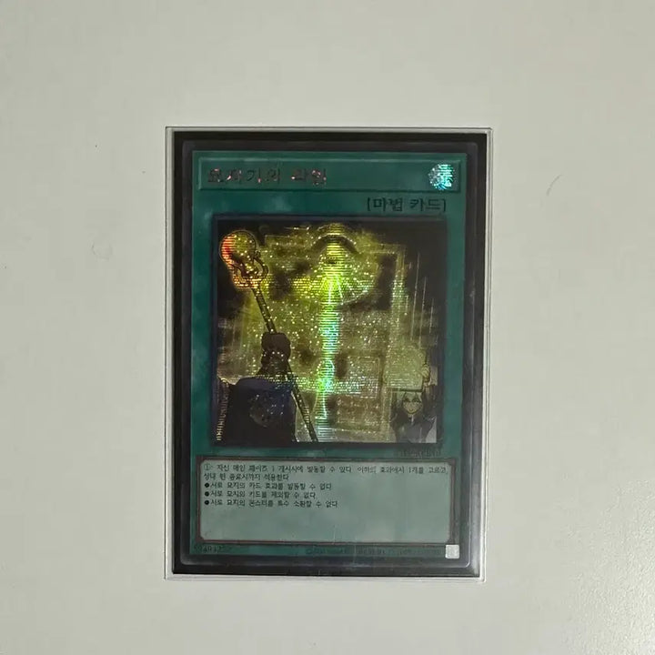 [BUNJANG] Yu-Gi-Oh! Gravekeeper&