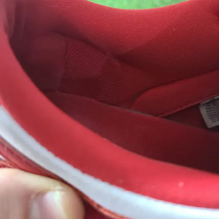 [BUNJANG] Nike Dunk University Red (Size 280) - Used / [280] 나이키 덩크 유니버시티 레드