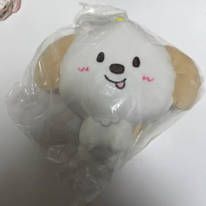 [BUNJANG] Boss &amp; Rise Anton "Meongryongi" Coin Pouch / 보스라이즈 동전지갑 앤톤 멍룡이