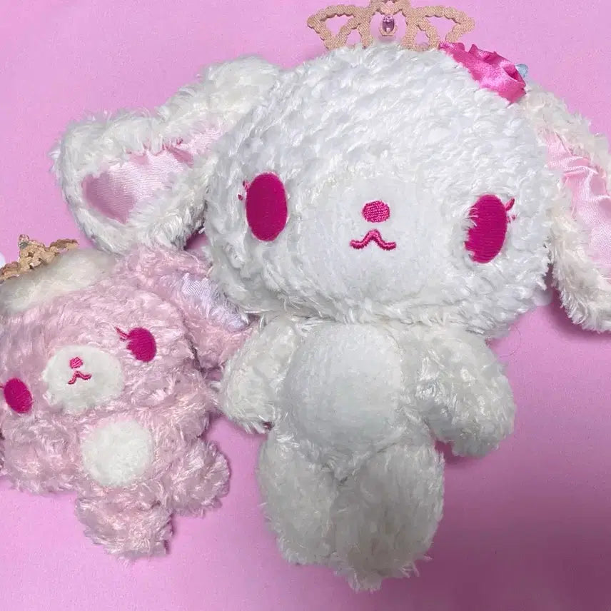 [SOLD OUT] 프리마우사 발레우사