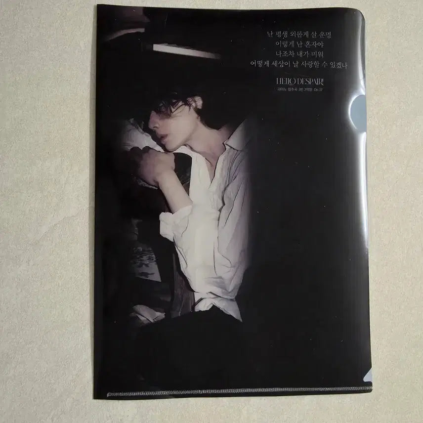 [BUNJANG] Park Hyo Shin Beethoven L-Folder / 박효신 베토벤 L자 화일